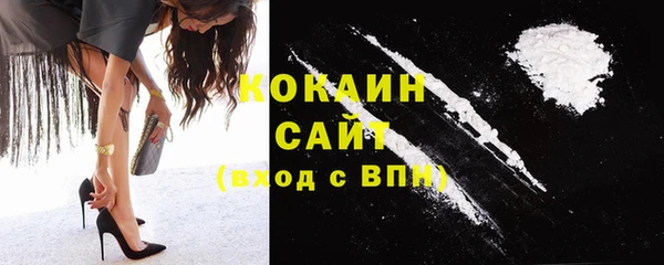 прущие грибы Заволжск