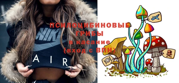 прущие грибы Заволжск