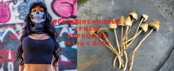 прущие грибы Заволжск
