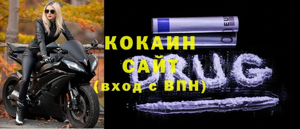 прущие грибы Заволжск