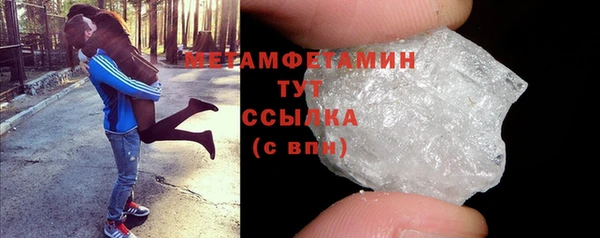 прущие грибы Заволжск