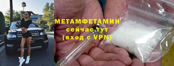 прущие грибы Заволжск