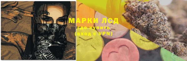 прущие грибы Заволжск